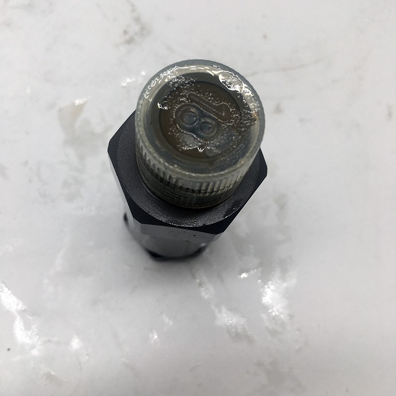 Bosch Diesel Engine Parts Pressure Relief Valve 1110010028 1 110 010 020(图2)