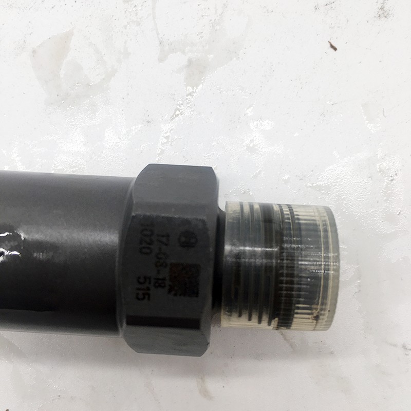 Bosch Diesel Engine Parts Pressure Relief Valve 1110010028 1 110 010 020(图3)