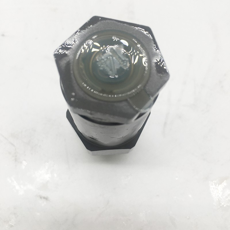 Bosch Diesel Engine Parts Pressure Relief Valve 1110010028 1 110 010 020(图1)
